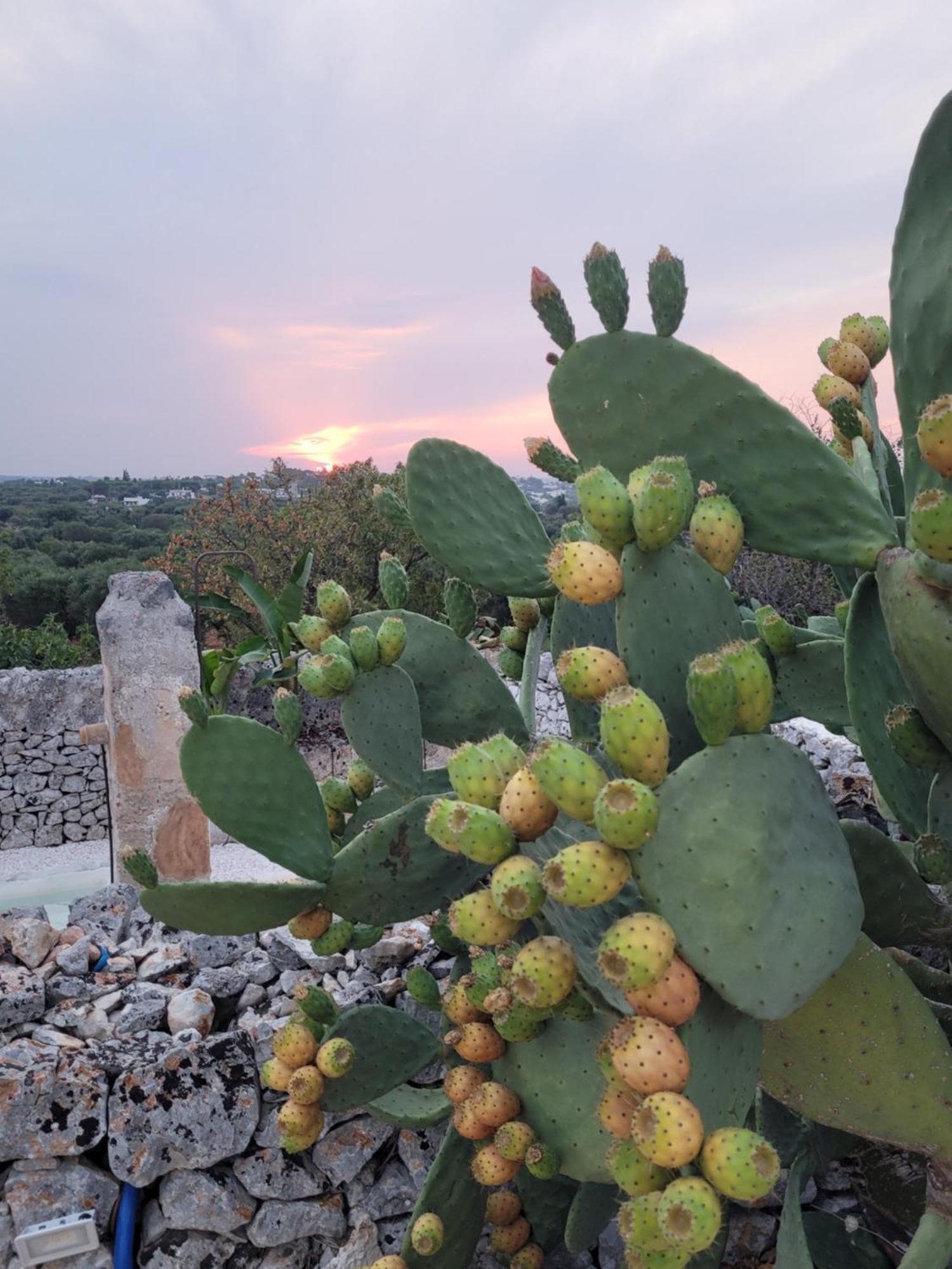 Apartment Cicale In Masseria Dimore Di Charme *