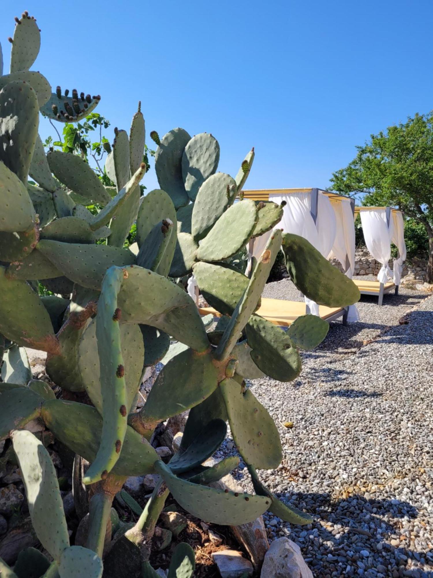 Cicale In Masseria Dimore Di Charme *